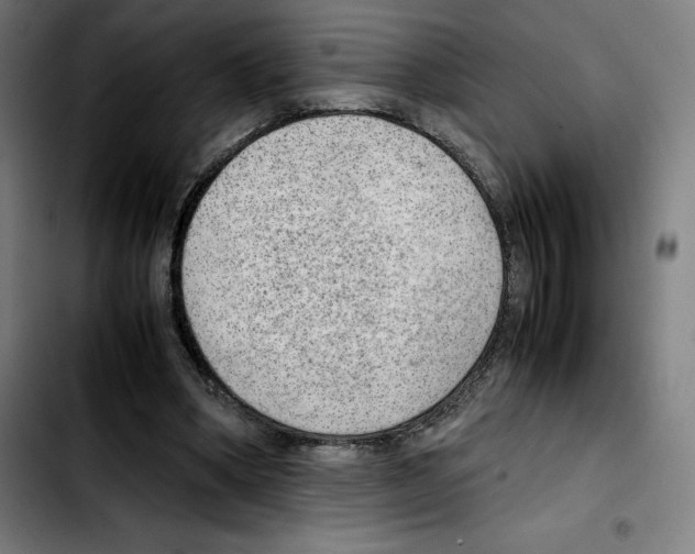 X0000103410394200810241213