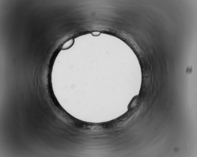 X0000103410395200810241213