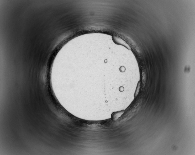 X0000103410396200810241213