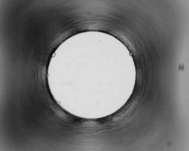 X0000103410397200810241213