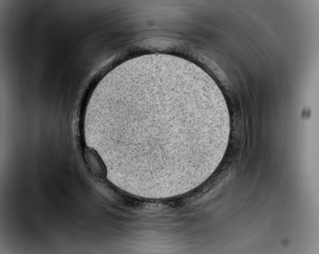 X0000103410399200810241213