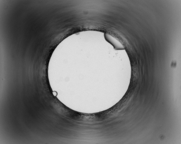 X0000103410401200810241213