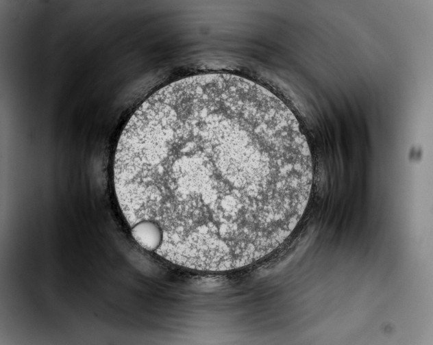 X0000103410402200810241213