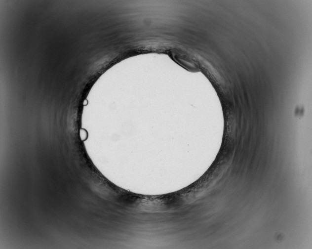 X0000103410403200810241213