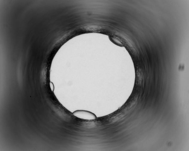 X0000103410404200810241213