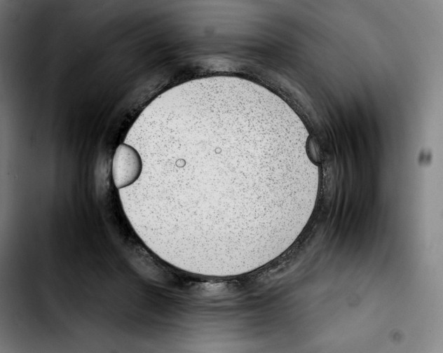 X0000103410406200810241213