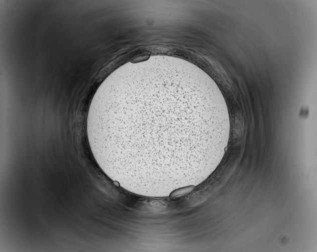 X0000103410409200810241213