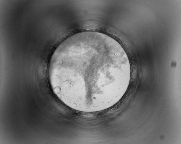 X0000103410411200810241213