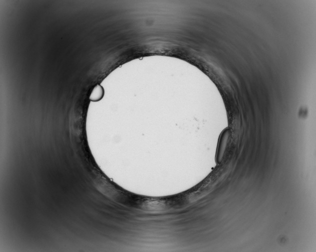 X0000103410413200810241213