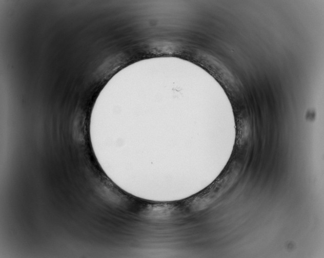 X0000103410414200810241213