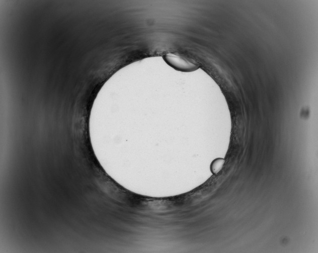 X0000103410417200810241213