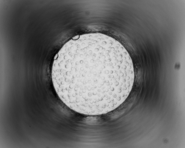 X0000103410418200810241213