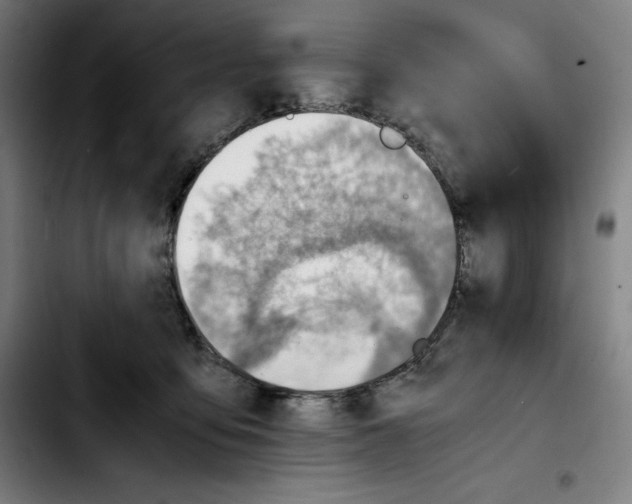 X0000103410419200810241213