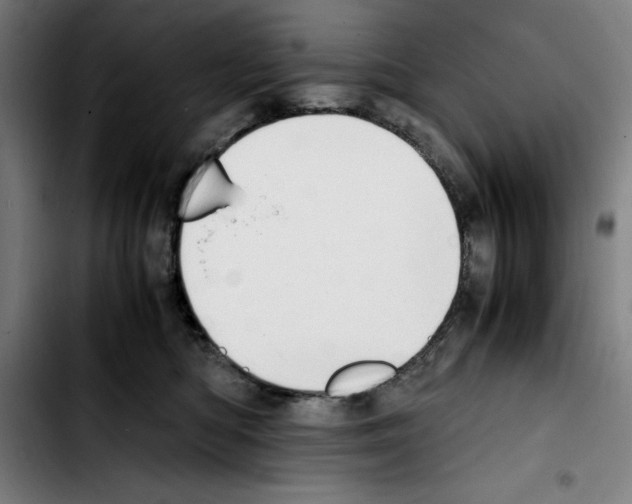 X0000103410422200810241213