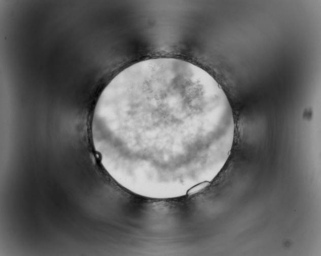 X0000103410423200810241213