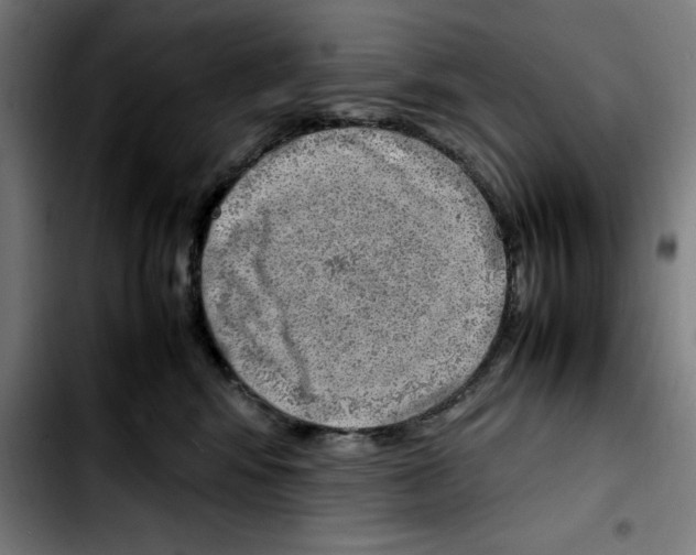 X0000103410424200810241213