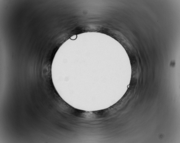 X0000103410425200810241213