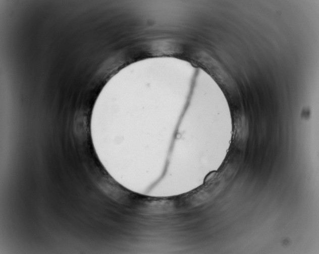 X0000103410426200810241213