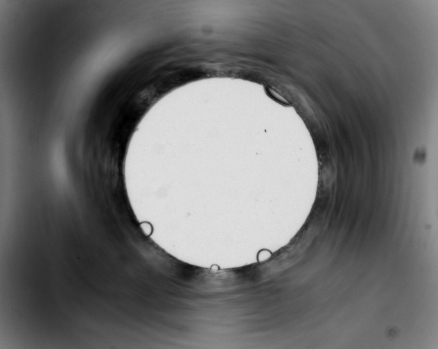 X0000103410429200810241213