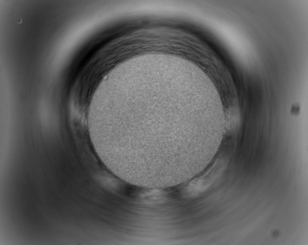 X0000103410431200810241213