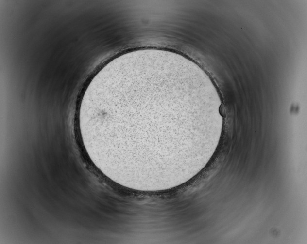 X0000103410434200810241212