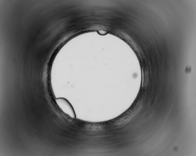 X0000103410435200810241212