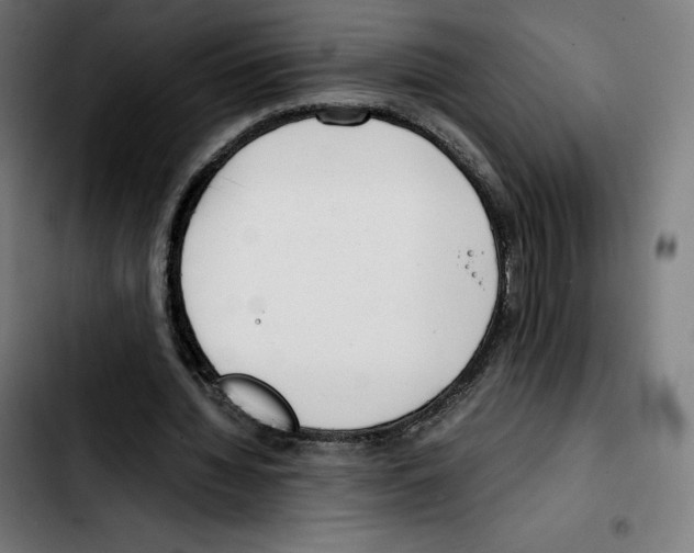 X0000103410436200810241212