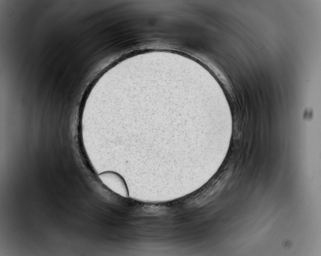 X0000103410437200810241212