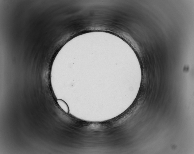 X0000103410441200810241212