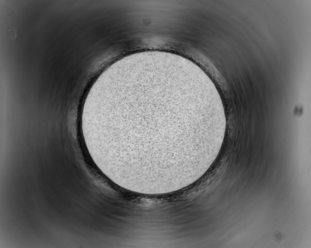 X0000103410442200810241212