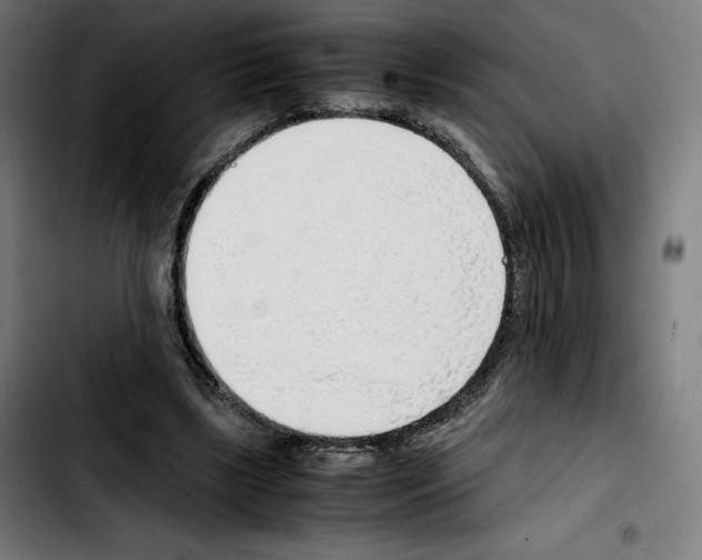 X0000103410443200810241212