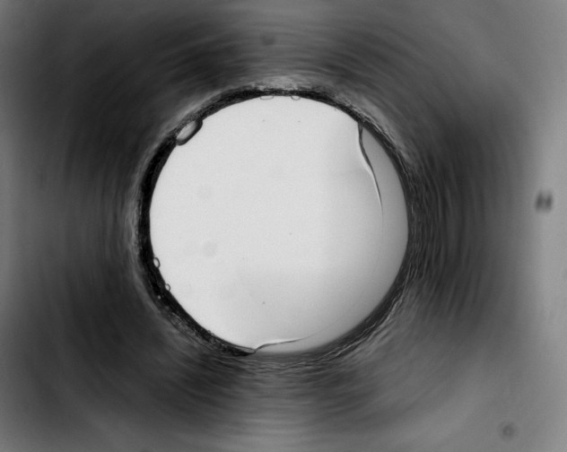 X0000103410444200810241212