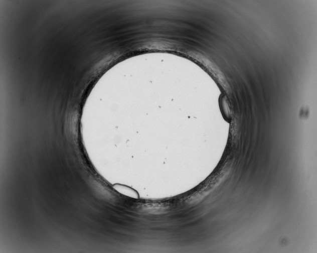 X0000103410445200810241212