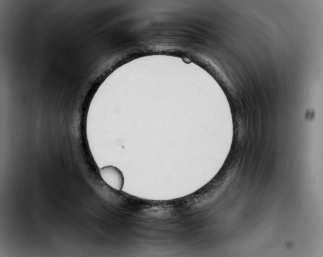 X0000103410447200810241212