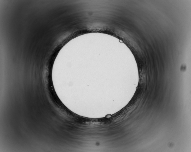 X0000103410448200810241212