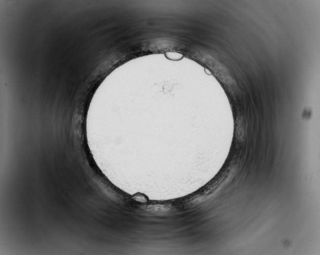 X0000103410449200810241212