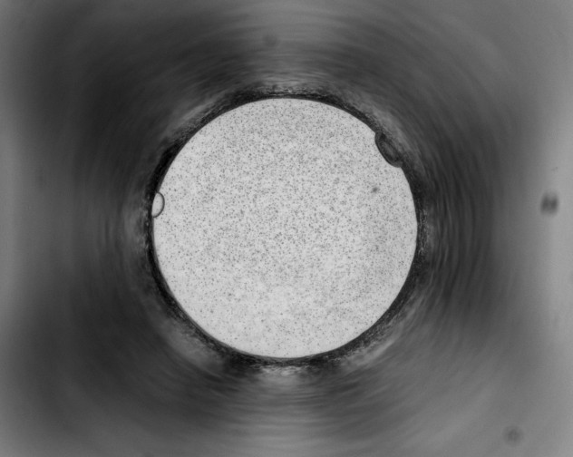 X0000103410450200810241212