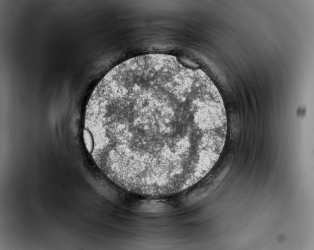 X0000103410451200810241212