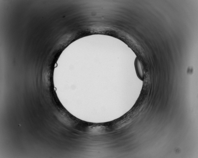 X0000103410452200810241212