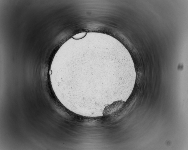 X0000103410454200810241212