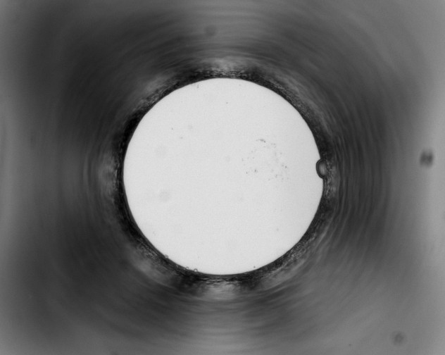 X0000103410456200810241212