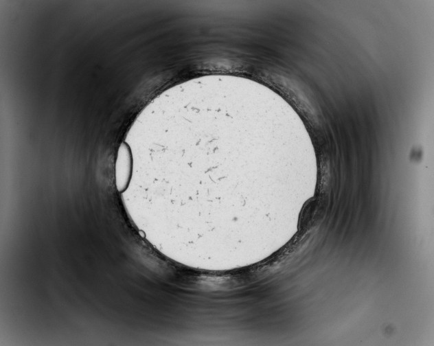 X0000103410457200810241212