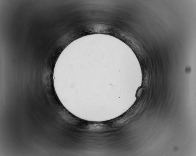 X0000103410461200810241213