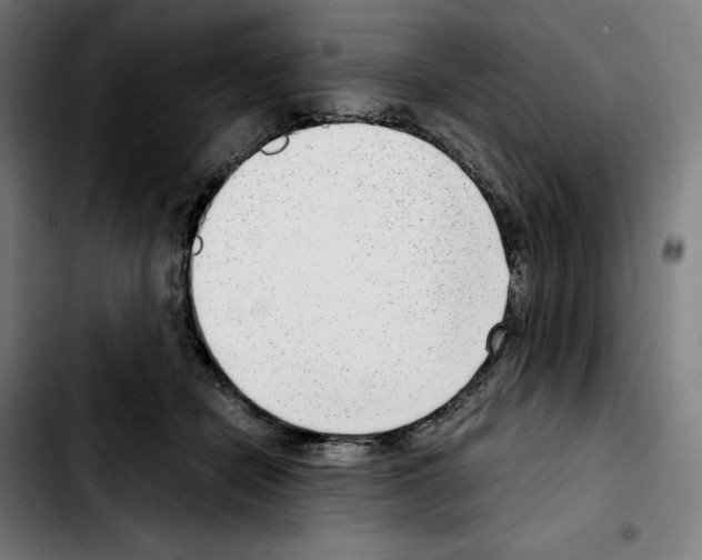 X0000103410462200810241213