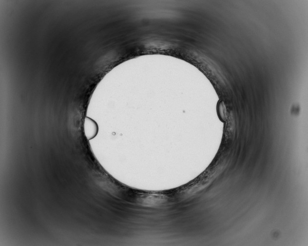 X0000103410463200810241213