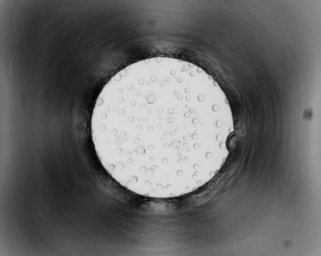 X0000103410464200810241213