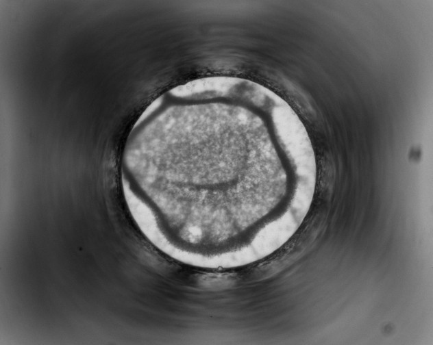 X0000103410465200810241213