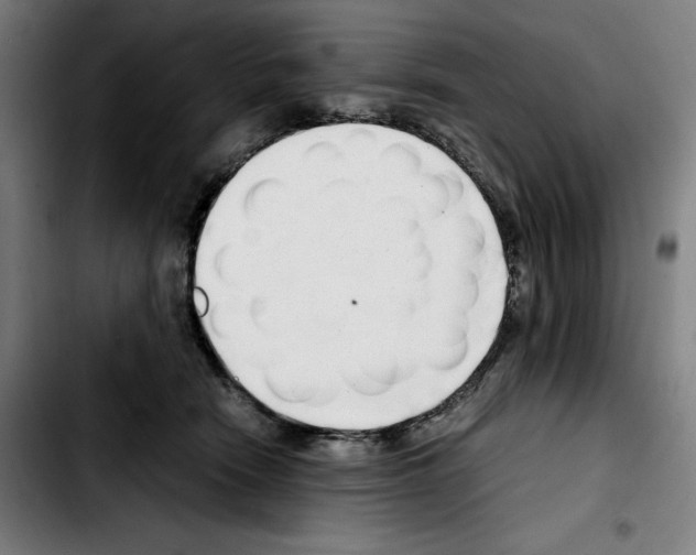 X0000103410466200810241213