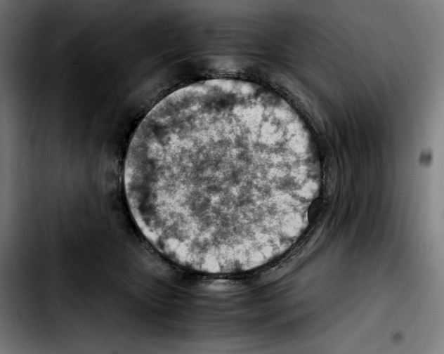 X0000103410467200810241213