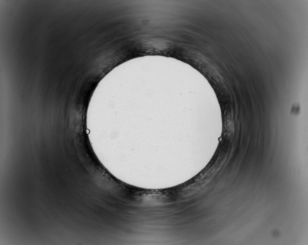 X0000103410468200810241213